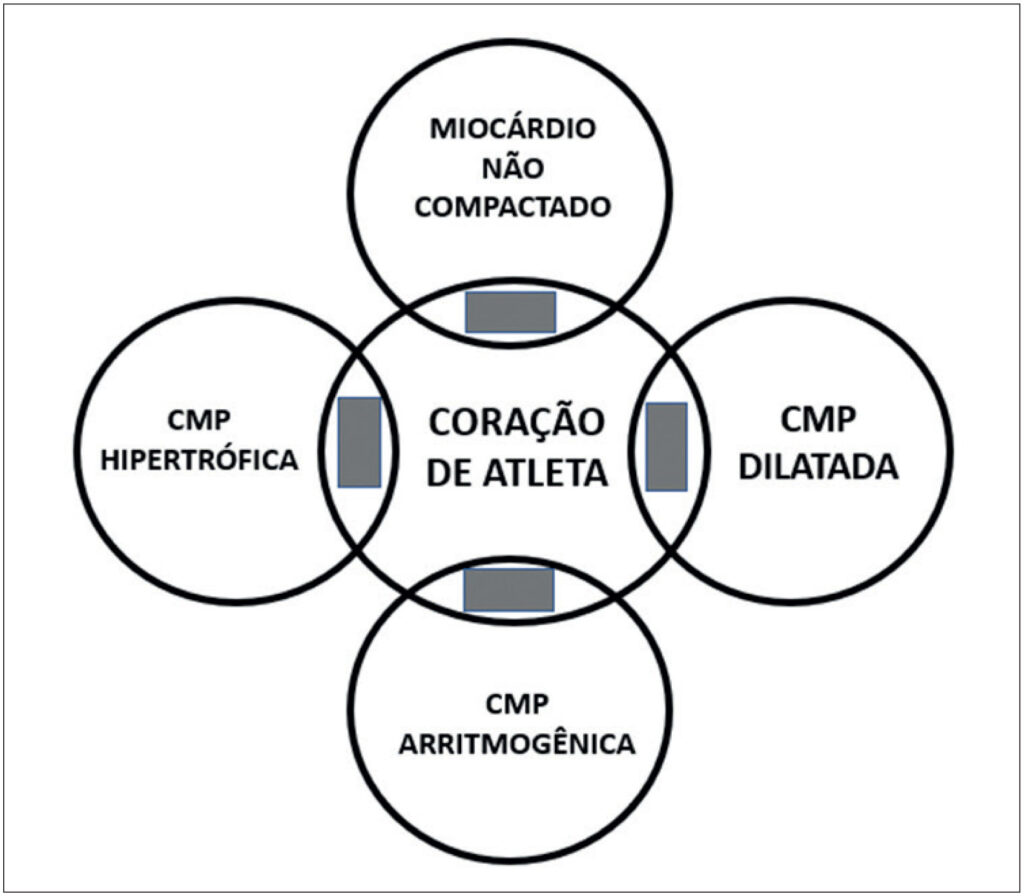 Figura 2