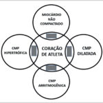 Figura 2