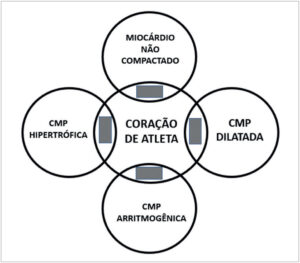 Figura 2