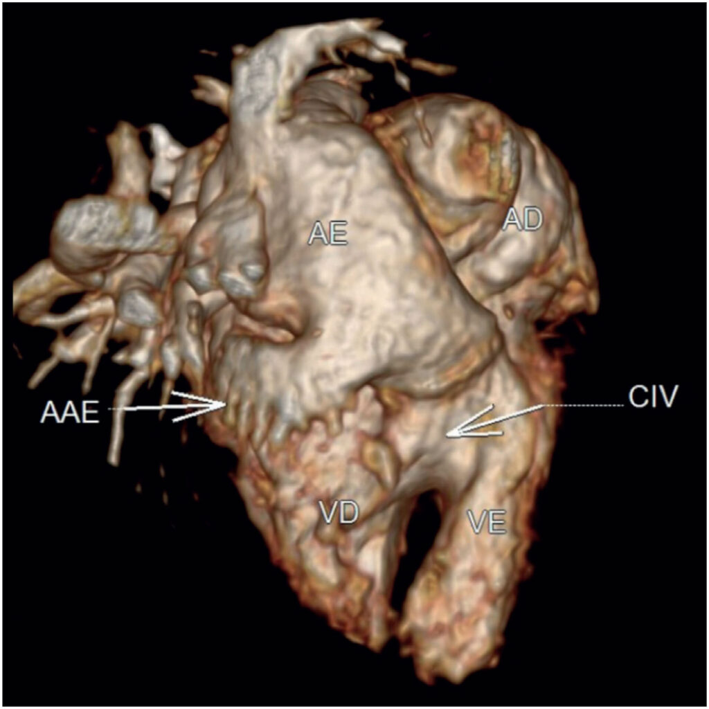 Figure 7
