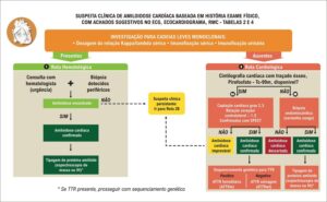 Figura 4