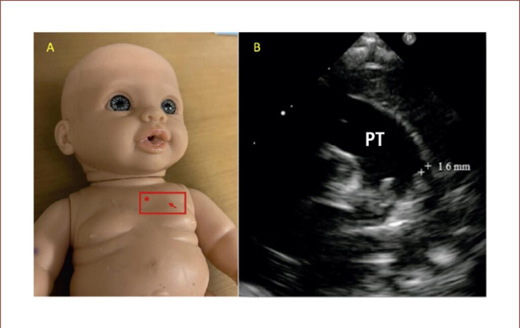 Figure 9
