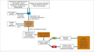 Figura 4