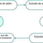 Figura 1