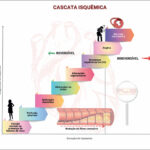 Figura 2