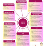 Figura 3