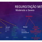Figura 1
