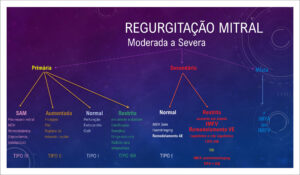 Figura 1