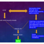 Figura 2