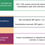 Figura 1
