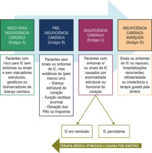 Figura 2