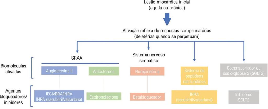 Figura 1