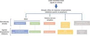 Figura 1