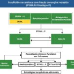 Figura 1