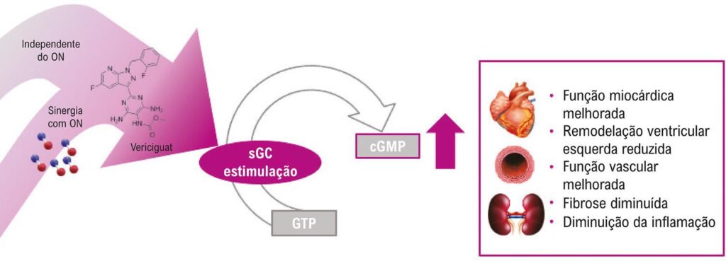 Figura 2