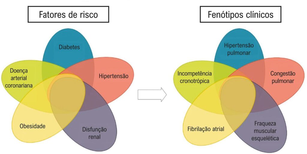Figura 1