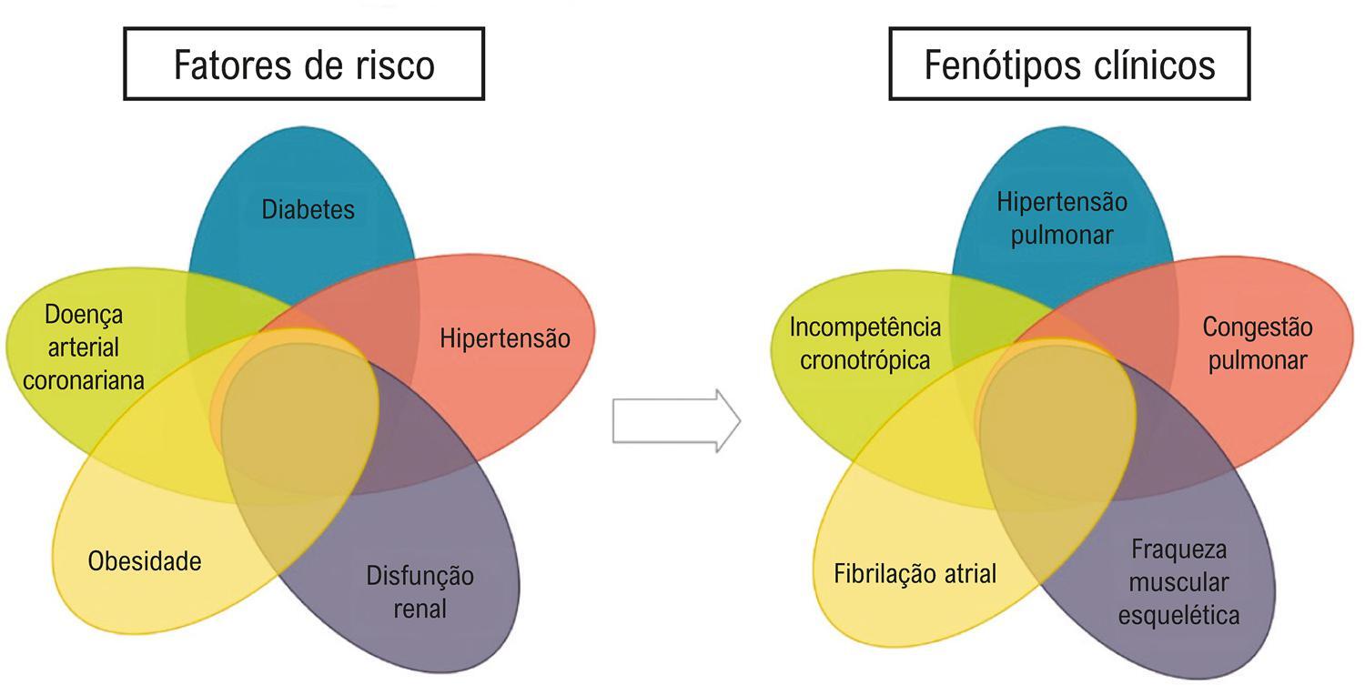 Figura 1
