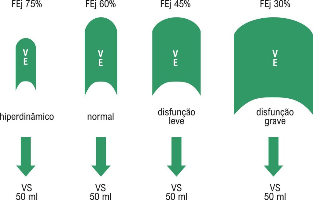 Figura 1