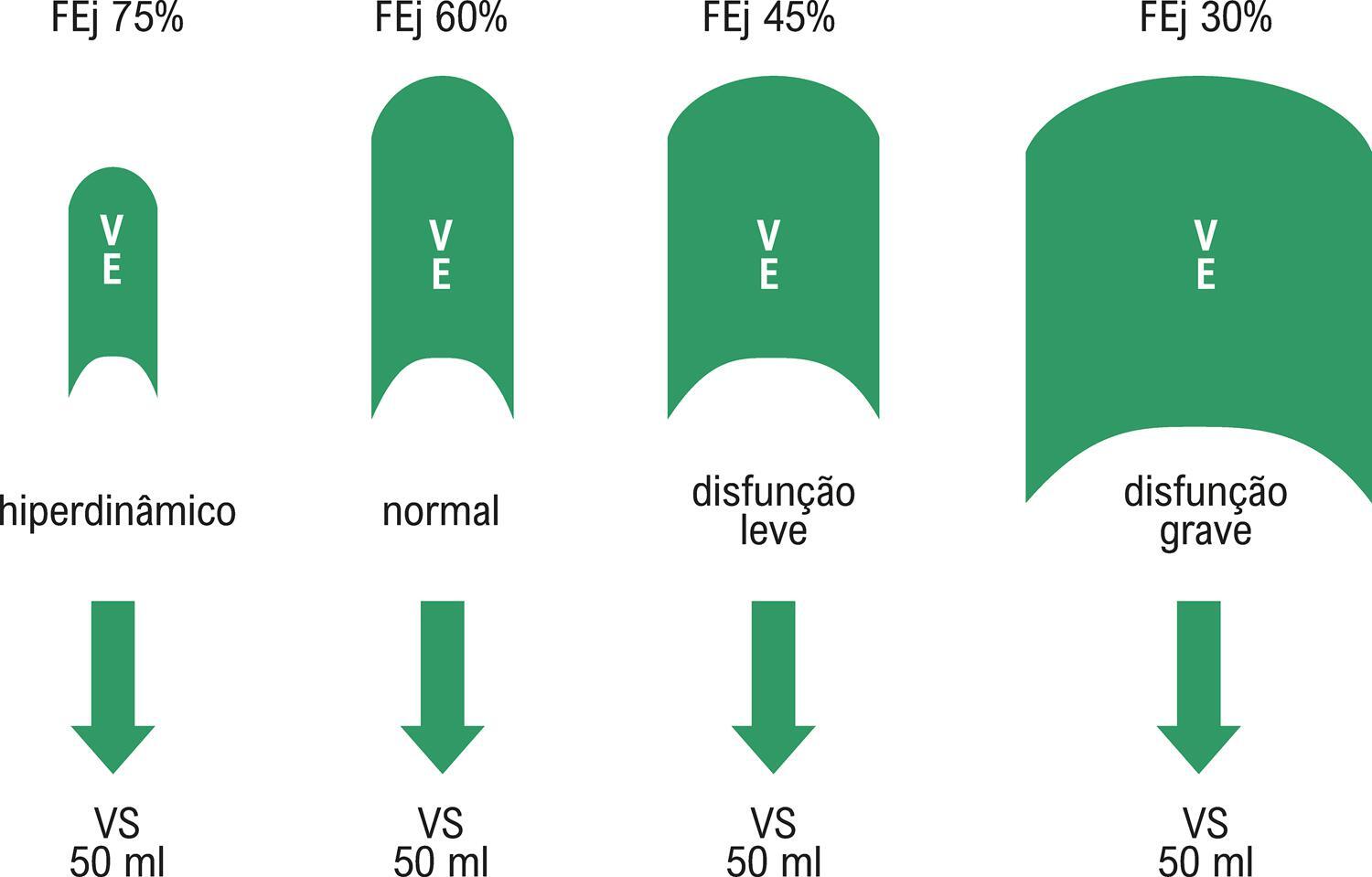 Figura 1
