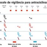 Figura 1