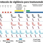 Figura 2