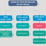 Figura 5