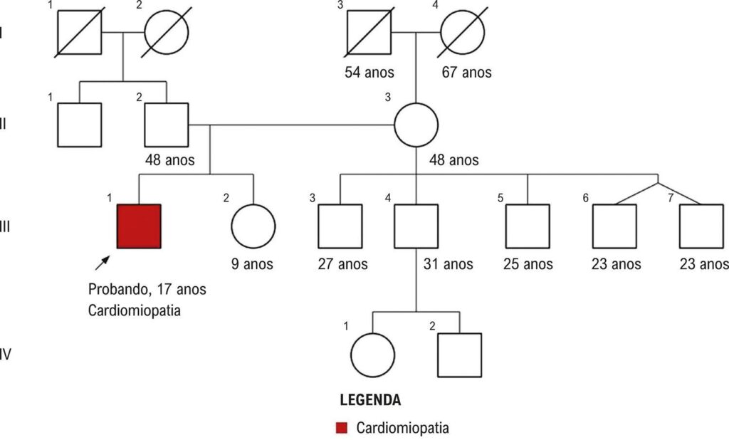 Figura 2
