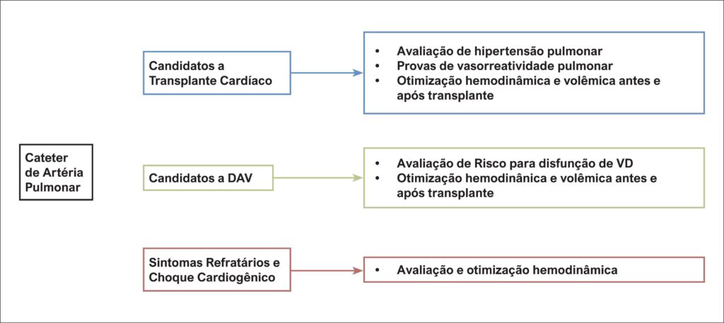 Figura 1