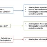 Figura 1