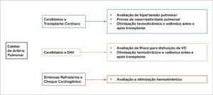 Figura 1