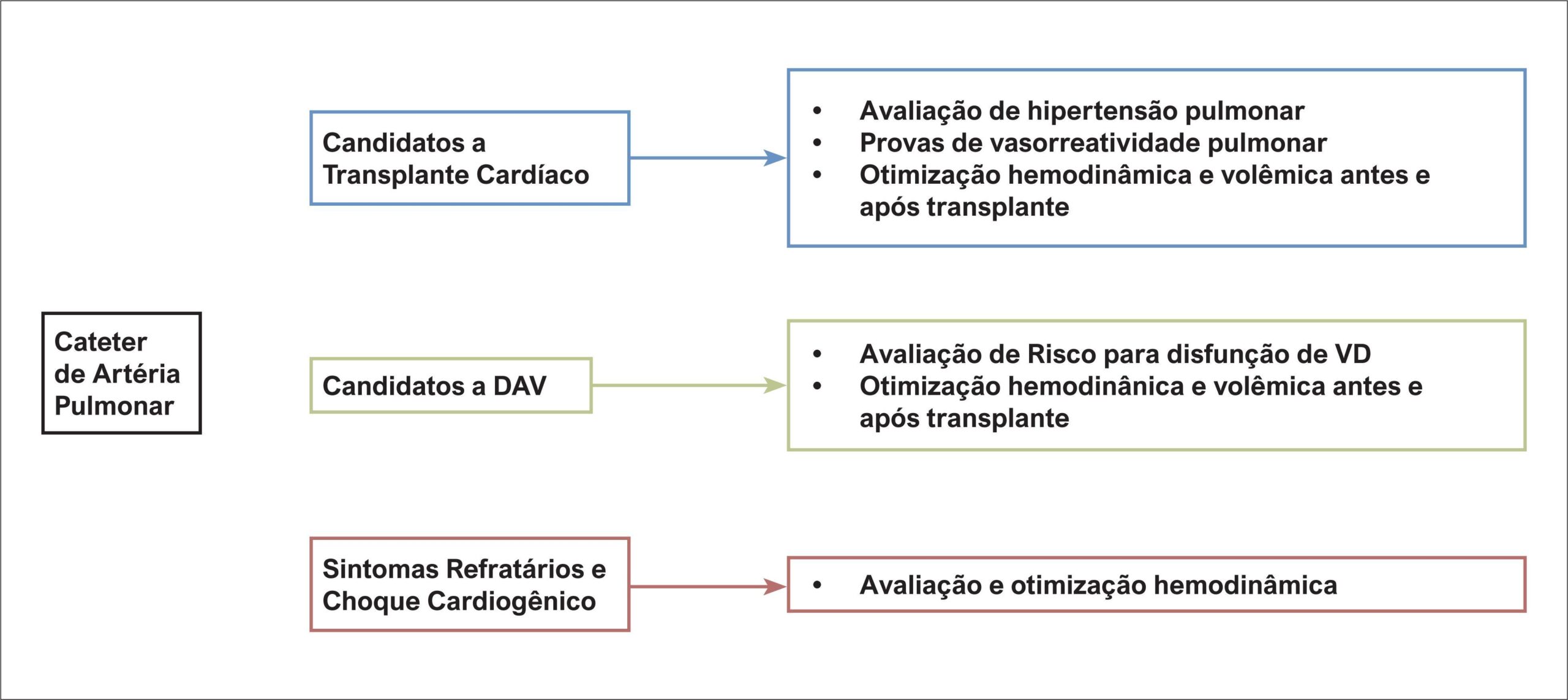 Figura 1