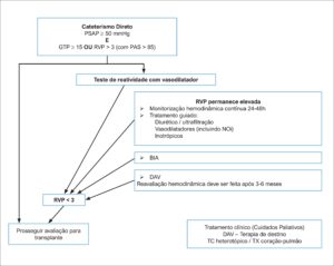 Figura 2
