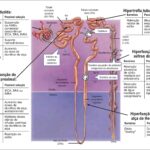 Figura 2