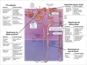 Figura 2