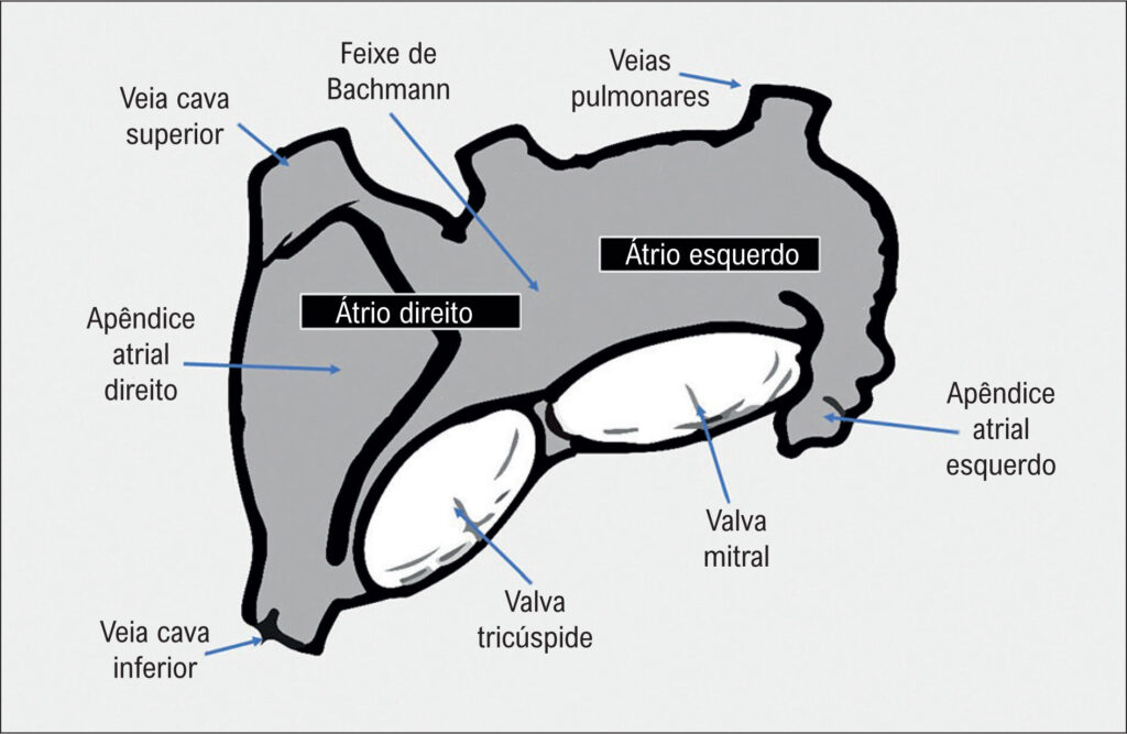 Figura 1