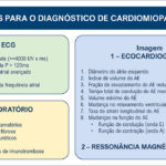 Figura 5