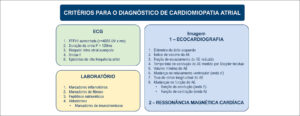 Figura 5