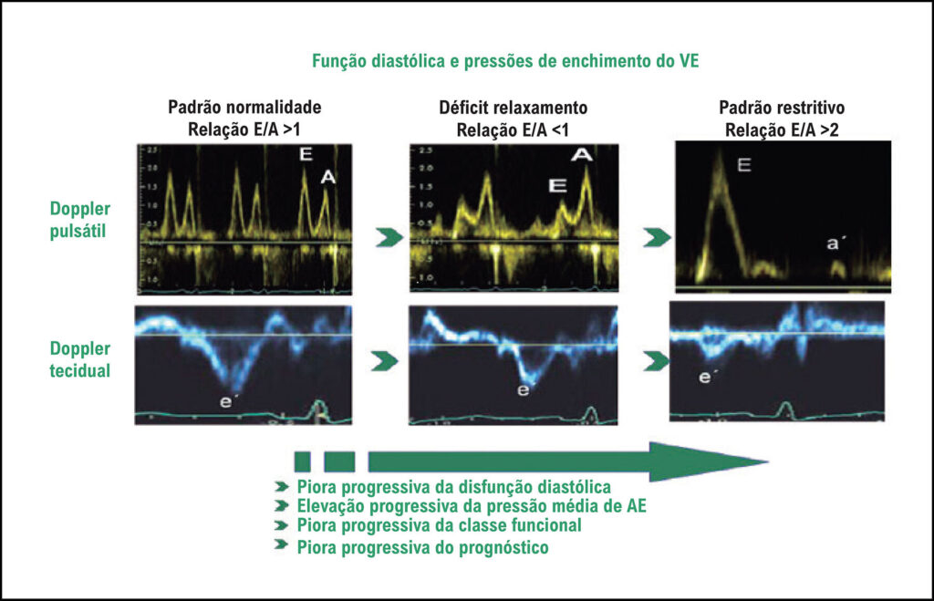 Figura 4
