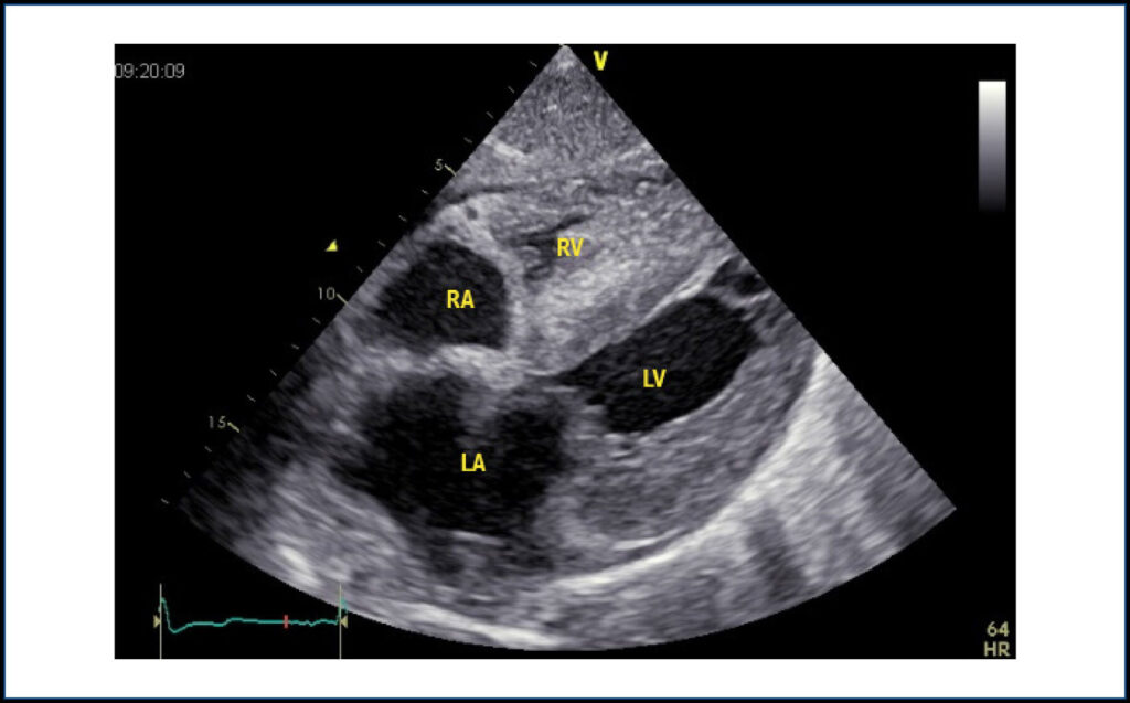Figure 6