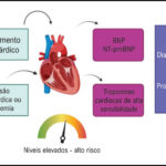 Figura 1