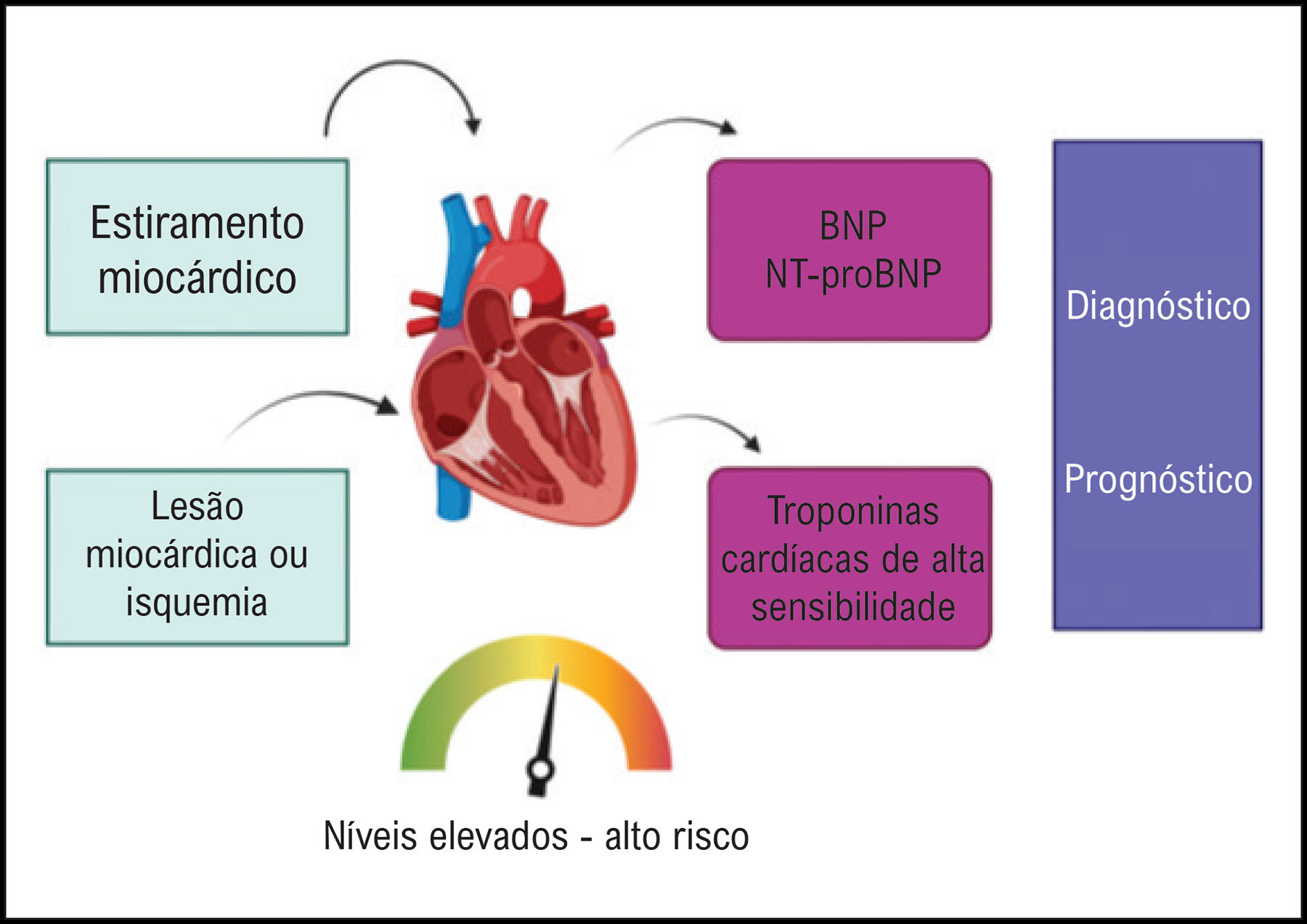Figura 1