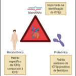 Figura 3