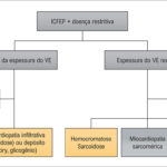 Figura 1