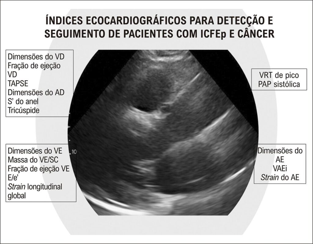 Figura 5