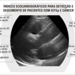 Figura 5