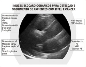 Figura 5