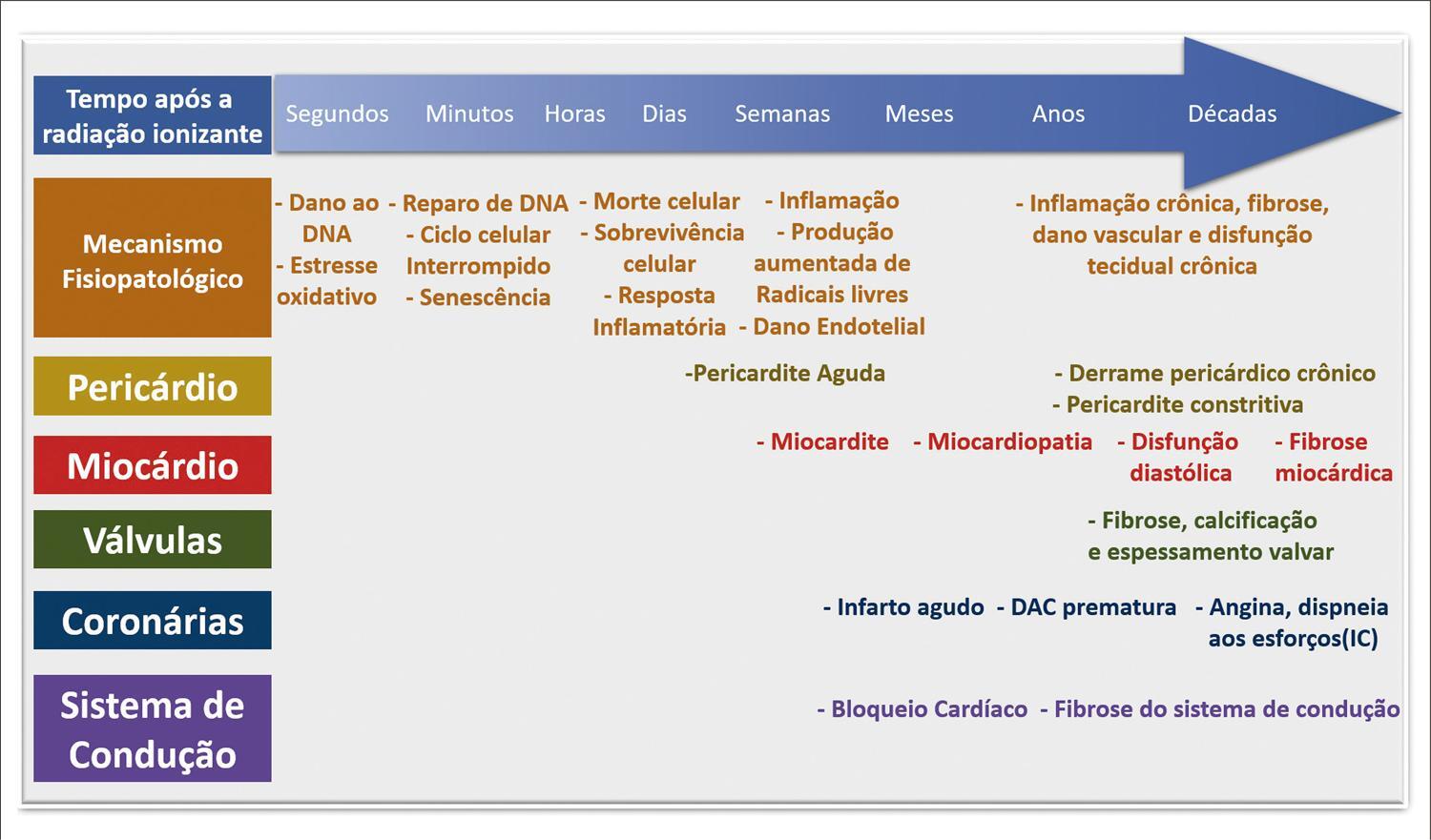 Figura 1