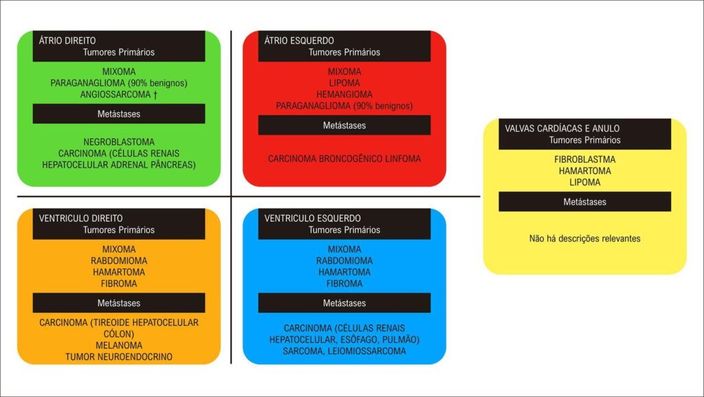 Figura 1