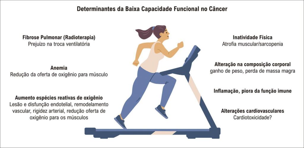 Figura 1