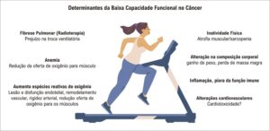 Figura 1